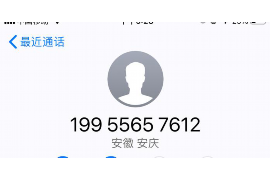 珠海为什么选择专业追讨公司来处理您的债务纠纷？